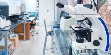 Israel-born Nevada US Atty Drops Gun Charge Against Israeli National Involved in Las Vegas Biolab