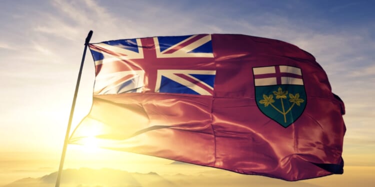 Lib Politician Pushes Mass Migration, Then Loses Nomination to Immigrant. Now He Alleges Vote Fraud.