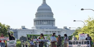 May Day Protests Sweep US As Report Highlights Socialist-Linked Organizing Network