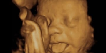 Pro-Life Group Wants Federal Law Enforced to Stop Mail-Order Abortions