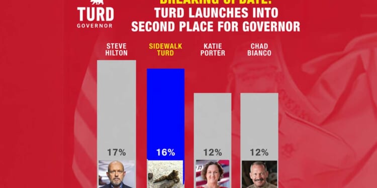 Image for article: Turd On San Francisco Sidewalk Now Polling Second In California Governor's Race