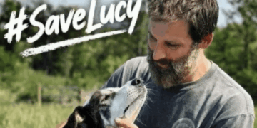 Virginia Army Veteran Fighting To Bring Home Dog Rescued Overseas After Animal Control Seizure