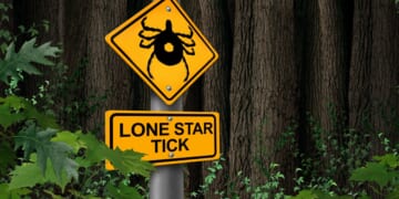 War on Meat: Has Tick-borne “Thought Experiment” Become Full-blown Biowarfare?