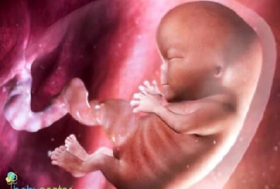We are Fighting for The People of the Womb