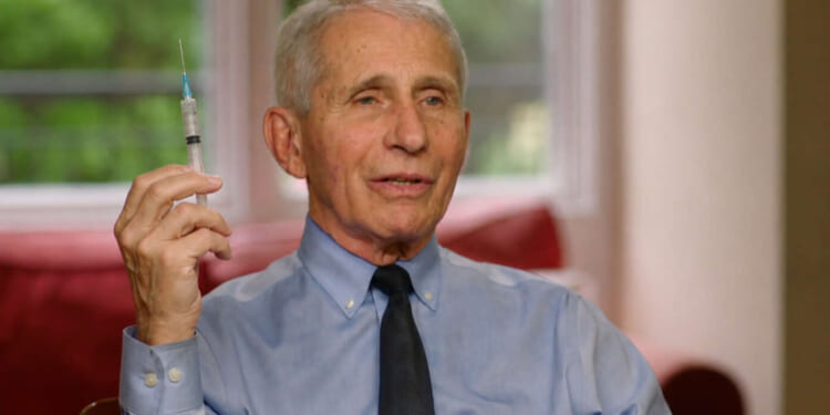 Image for article: What Luck! Dr. Fauci Announces He's Been Working On Hantavirus Vaccine This Whole Time