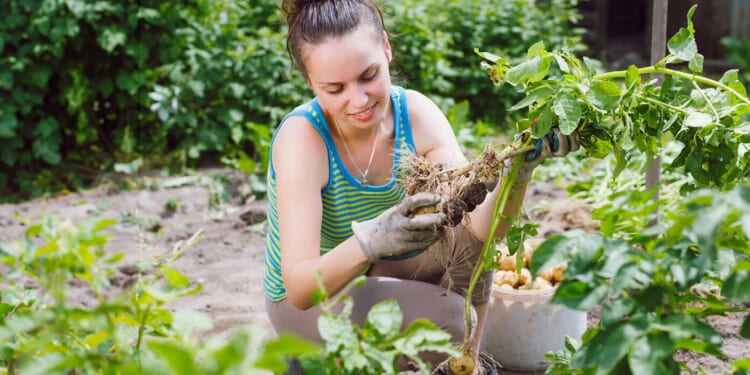 Image for article: Wife Can't Wait To Get Out There And Be Horrible At Gardening Again