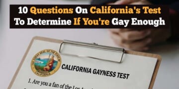 Image for article: 10 Questions On California's Test To Determine If You're Gay Enough