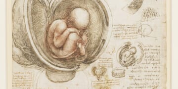 The World as the Womb of Divine Love