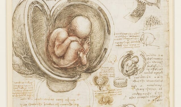 The World as the Womb of Divine Love