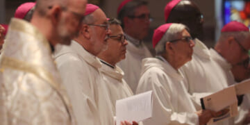 With focus on Sacred Heart, bishops make moves to strengthen Church’s mission at spring assembly