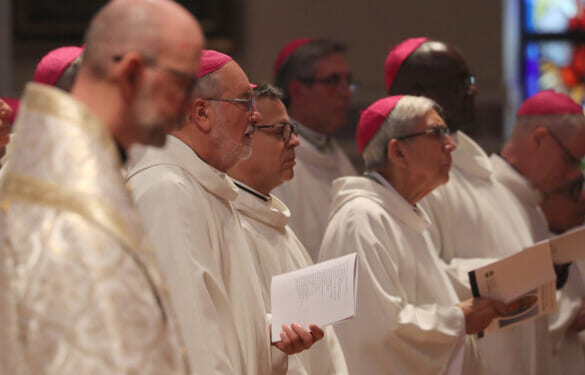 With focus on Sacred Heart, bishops make moves to strengthen Church’s mission at spring assembly