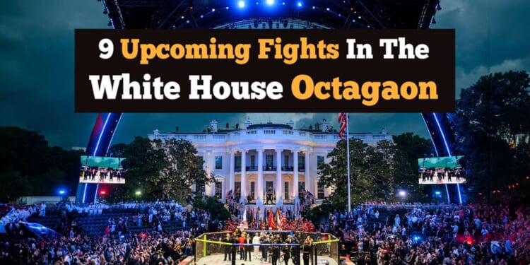 Image for article: 9 Upcoming Fights In The White House Octagon