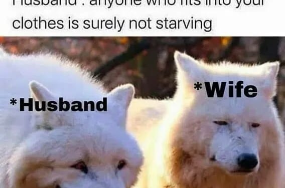 Sunday funnies