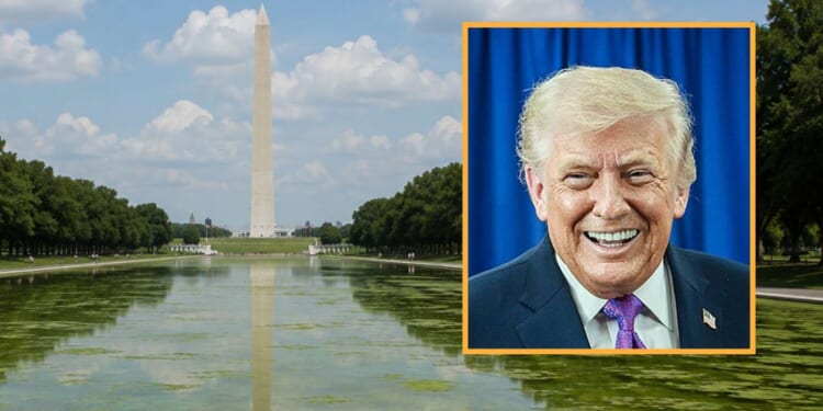 Image for article: 4D Chess: Trump Makes Reflecting Pool Even Swampier So It Will Reflect D.C. More Accurately