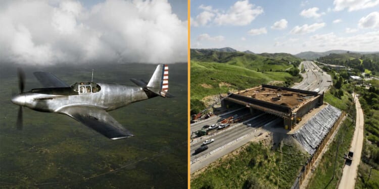 Image for article: State Where P-51 Mustang Was Built In 102 Days Now Taking 4 Years To Build Bridge For Butterflies
