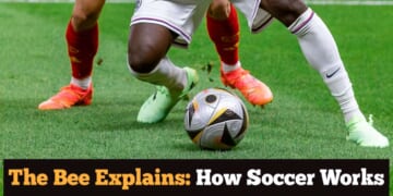 Image for article: The Bee Explains: How Soccer Works