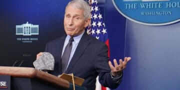 Tulsi Gabbard Declassifies Documents Alleging Anthony Fauci Helped Fund Wuhan Lab Research