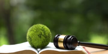 UN Endorses “World Court” Ruling Claiming All MUST Fight “Climate Change”
