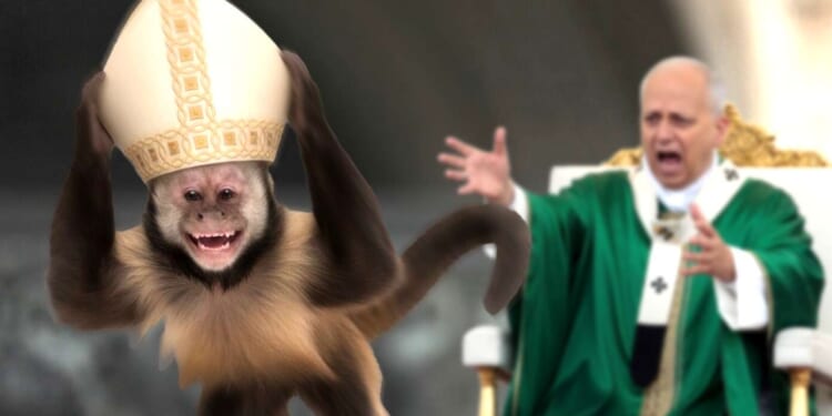 Image for article: Uh Oh! A Monkey Stole the Pope Hat and Now He's Infallible