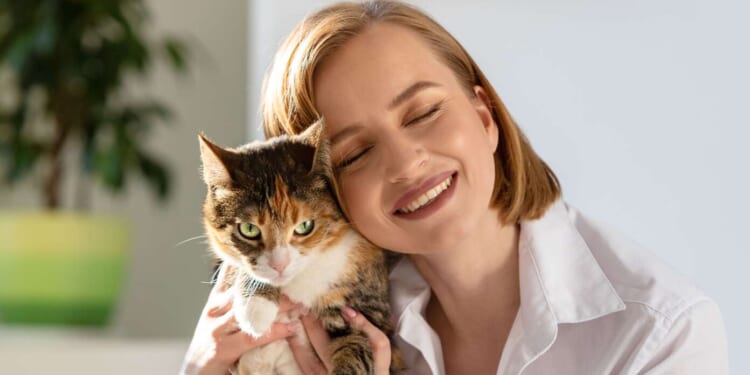 Image for article: 'What A Good Little Kitty You Are,' Owner Says To Cat Who Is Currently Plotting Her Violent Death