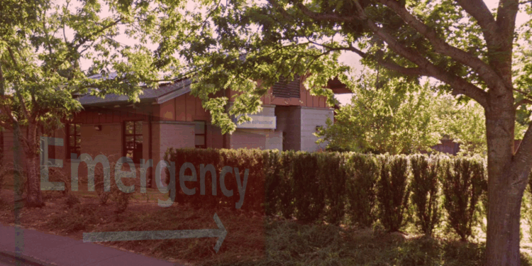 Woman Rushed to Hospital After Planned Parenthood Butchers Her in Botched Abortion