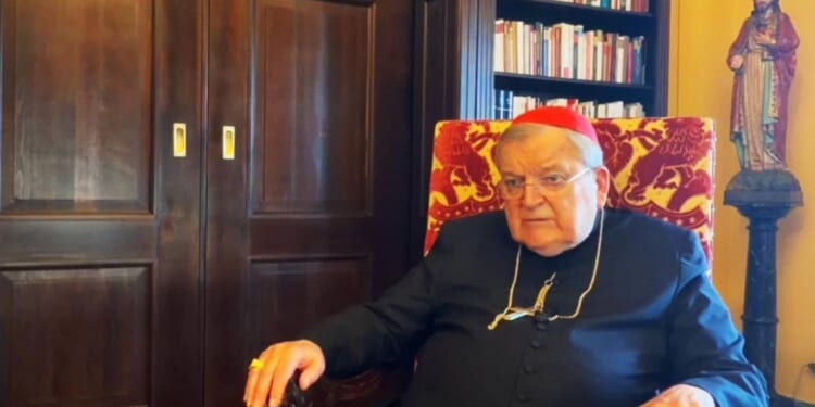 Cardinal Burke: ‘Synodality has to be stopped’