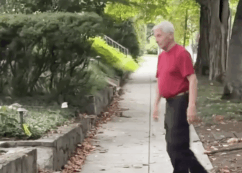 Fauci Walks Away From Questions About Senate Silence