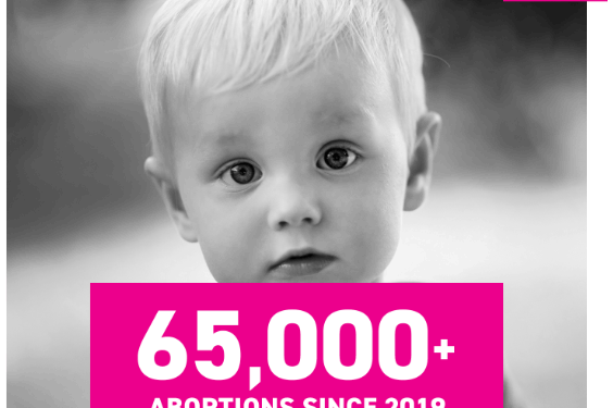 65,000 Babies Killed in Abortions in Ireland Since 2019