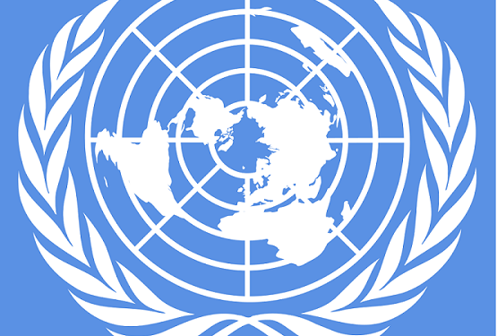 Abortion Activists Want the UN to Investigate America’s Pro-Life Laws