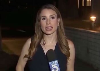Image for article: Cockroach Maintains Composure Despite Making Contact With Journalist