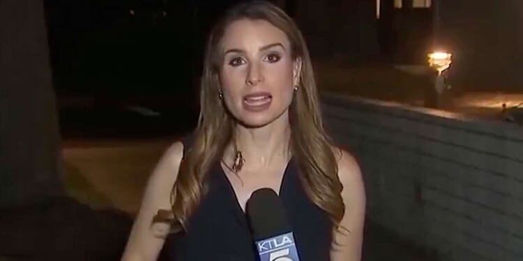 Image for article: Cockroach Maintains Composure Despite Making Contact With Journalist