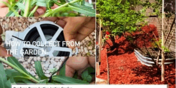 College Opens “Abortion Garden” With Plants That Can be Used to Kill Babies