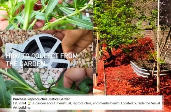 College Opens “Abortion Garden” With Plants That Can be Used to Kill Babies