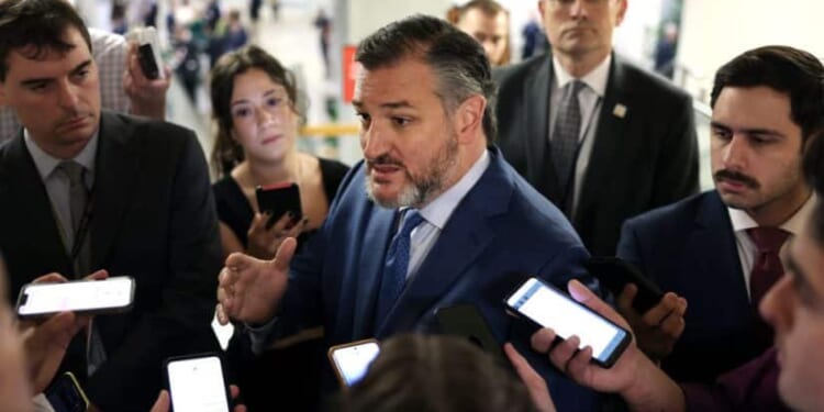 Cruz Demands Fauci Prosecution After 100 Fifths