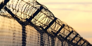 DHS: Biden “Migrants” Released at Border Involved in Murder, Assault