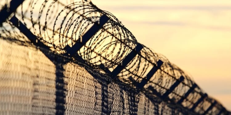 DHS: Biden “Migrants” Released at Border Involved in Murder, Assault