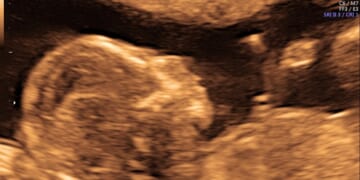 Delaware Measure for “Right” to Kill Babies in Abortions Fails