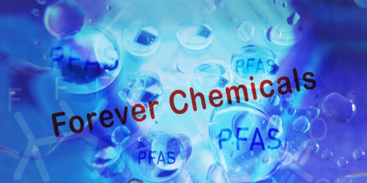 EPA Approves More “Forever Chemical” Pesticides for Food Crops