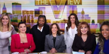 FCC Poised to Rule ABC’s “The View” Is Not a News Program