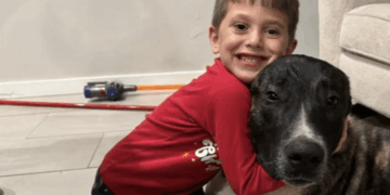 Family Fights to Save Sergeant Snuggles