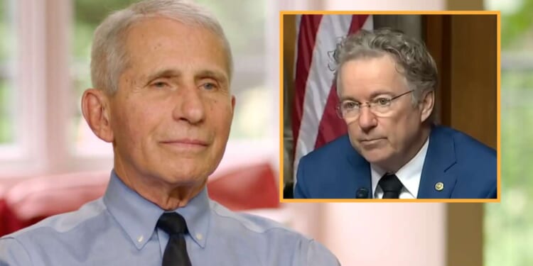 Image for article: Fauci Asks China To Engineer New Virus That Just Kills Rand Paul