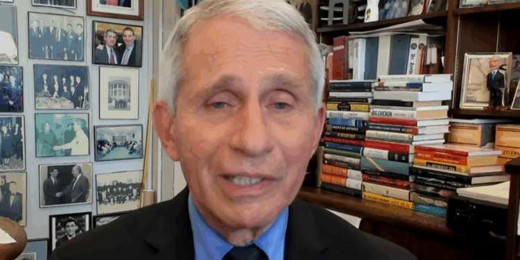 Fauci Directly Funded University Experiements Attaching Aborted Baby Scalps to Rats