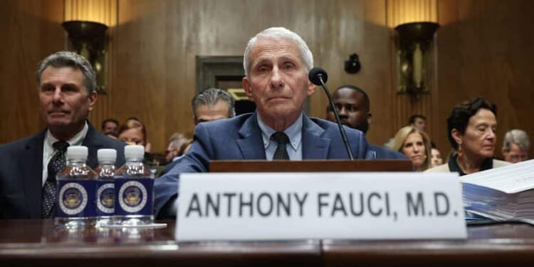 Fauci Faces Rand Paul in New Senate COVID Hearing