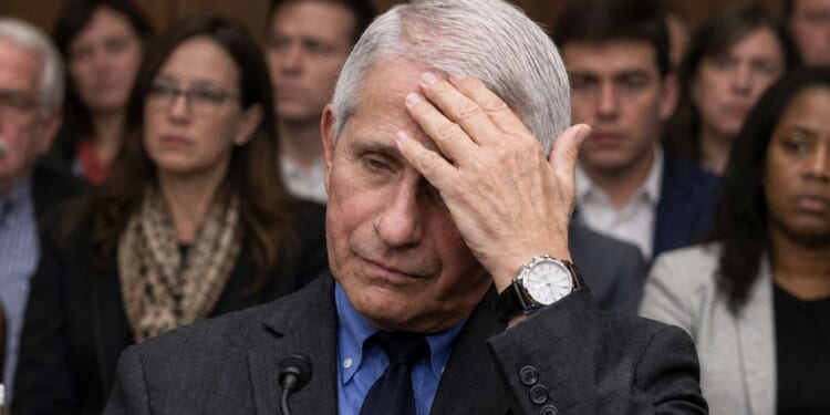 Image for article: Fauci Starting To Think That Maybe Keeping A Daily Perjury Diary Was A Bad Idea