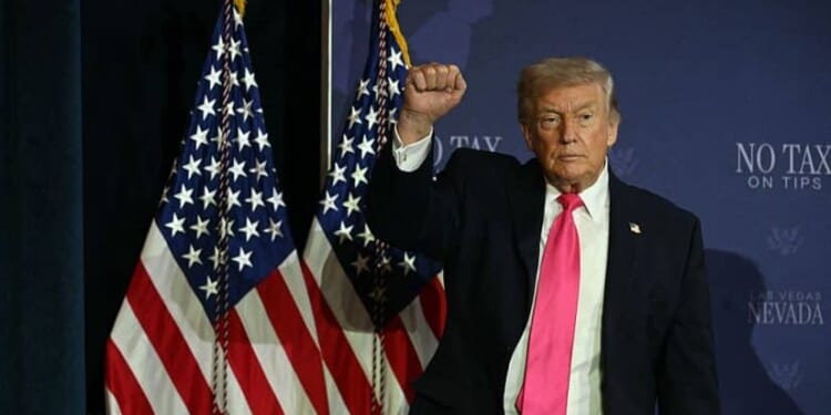 Foreign-Born Workforce Falls by 700,000 as Trump’s Immigration Crackdown Reshapes U.S. Labor Market