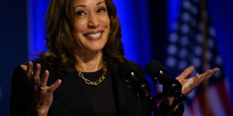 Kamala Harris Paper Ballot Warning Resurfaces After Trump Speech