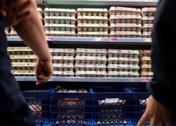Major Egg Producers Agree to $3.3 Million Settlement Over Alleged Price-Fixing Scheme