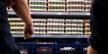 Major Egg Producers Agree to $3.3 Million Settlement Over Alleged Price-Fixing Scheme