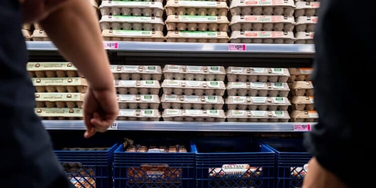 Major Egg Producers Agree to $3.3 Million Settlement Over Alleged Price-Fixing Scheme