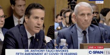Moreno Confronts Fauci Over Tased Ohio Mother